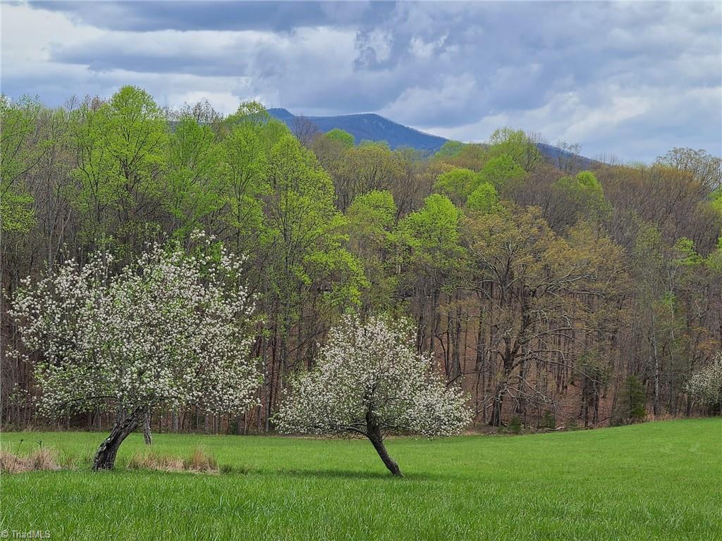 LOT 2 Baldwin Drive, Lowgap, North Carolina image 33
