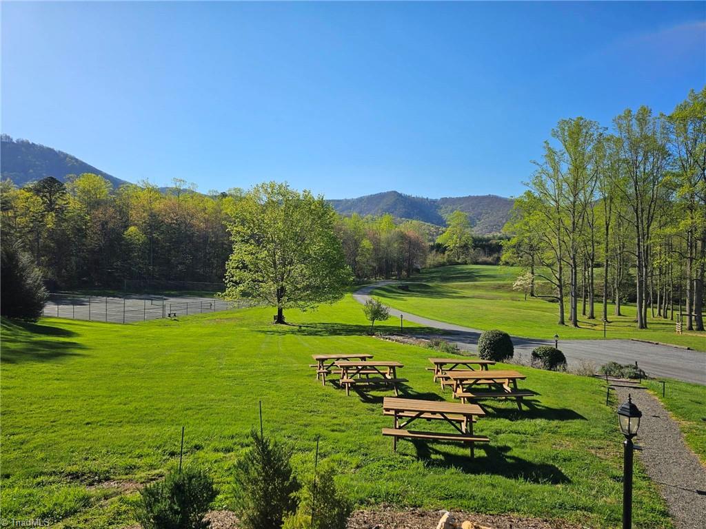 LOT 2 Baldwin Drive, Lowgap, North Carolina image 27
