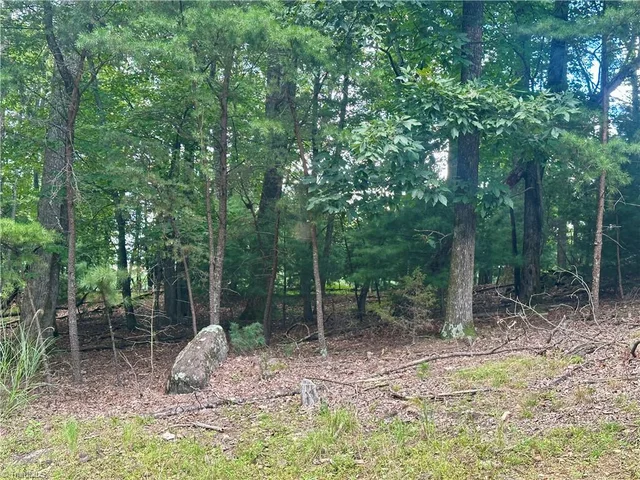 132 View Point Drive, photo 3 of 5