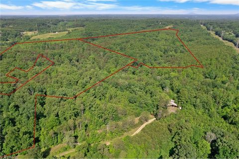 Vacant Land For Sale - Davis Road<br/> Forsyth County, Walkertown, NC 27051