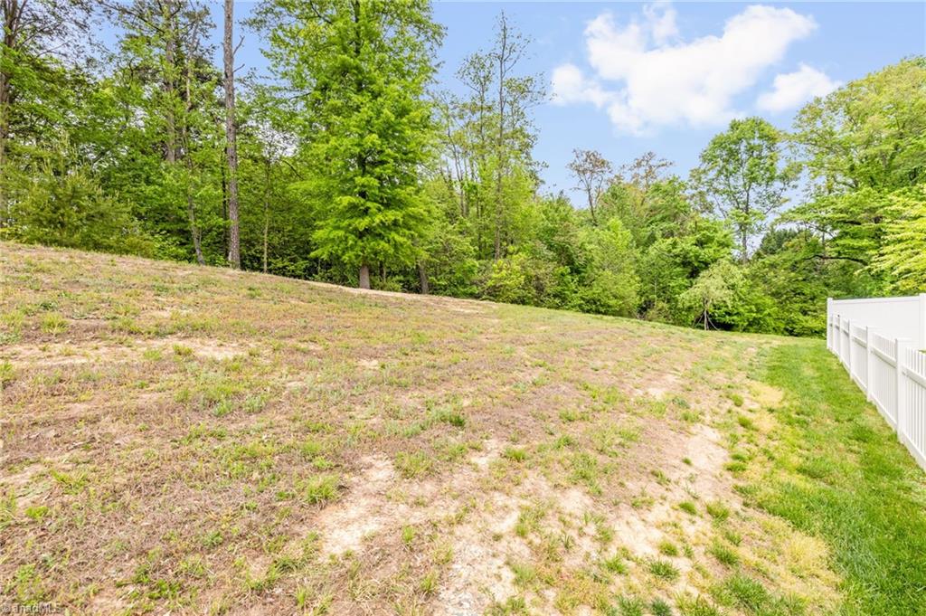 1263 Micol Lane, Kernersville, North Carolina image 30