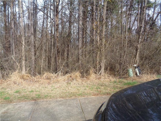 HAYNOKE DR, GRAHAM, NC 27253 - Image 6d4bf1f2c91c4b38ddba70f44e8063e9/4140566912