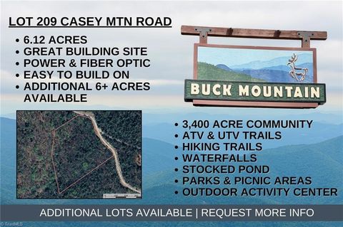 Vacant Land For Sale - LOT 209 Casey Mountain Road<br/> Purlear, NC 28665