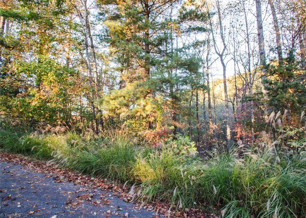 TBD Lot 17 Chestnut Falls Drive, Millers Creek, NC, 28651