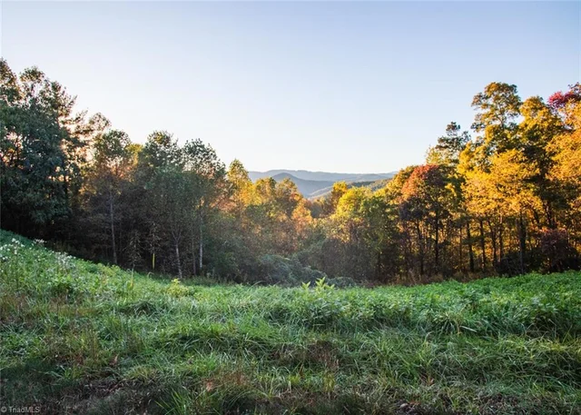 TBD Lot 17 Chestnut Falls Drive, photo 5 of 9