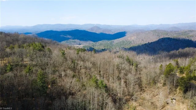 TBD Lot 17 Chestnut Falls Drive, photo 2 of 9
