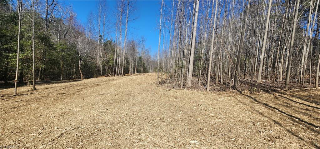 LOT 6 St Andrews Church Road, Sanford, North Carolina image 1