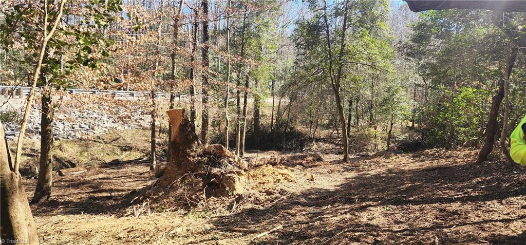 LOT 6 St Andrews Church Road, Sanford, North Carolina image 15