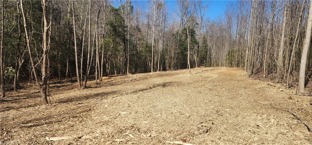 LOT 6 St Andrews Church Road, Sanford, North Carolina image 5