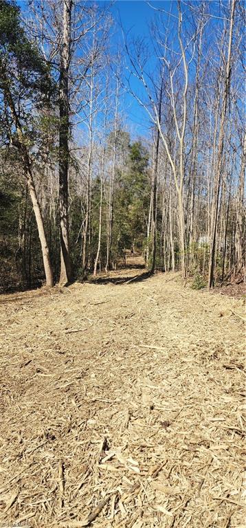 LOT 6 St Andrews Church Road, Sanford, North Carolina image 13