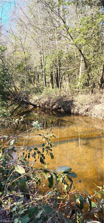 LOT 6 St Andrews Church Road, Sanford, North Carolina image 14