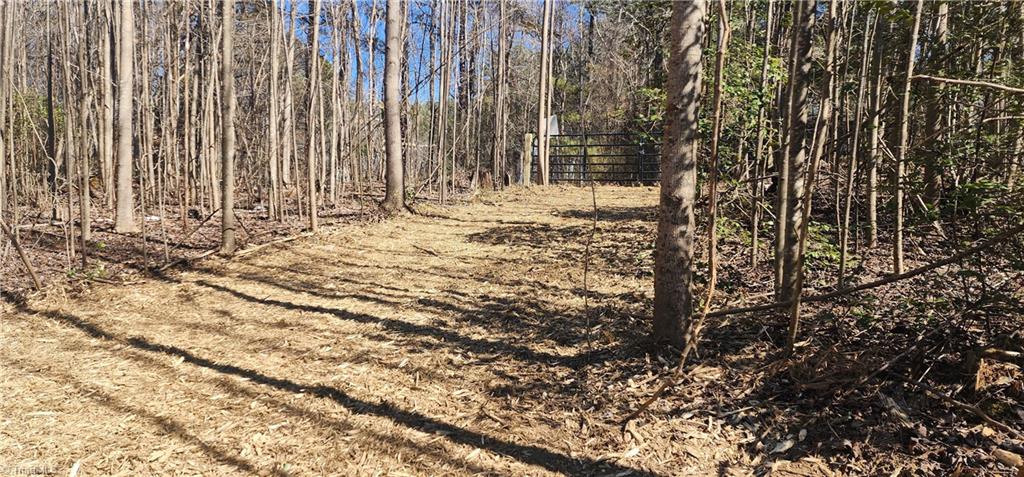 LOT 6 St Andrews Church Road, Sanford, North Carolina image 8