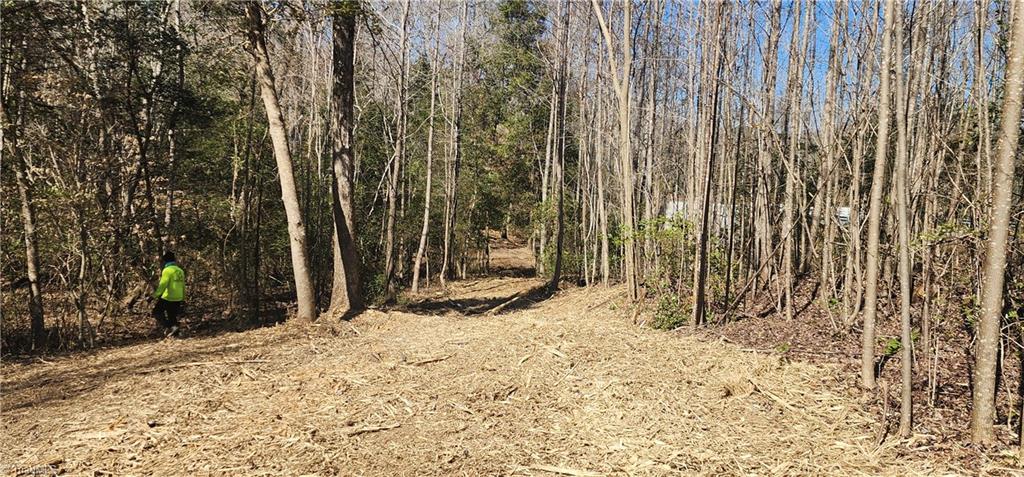 LOT 6 St Andrews Church Road, Sanford, North Carolina image 12