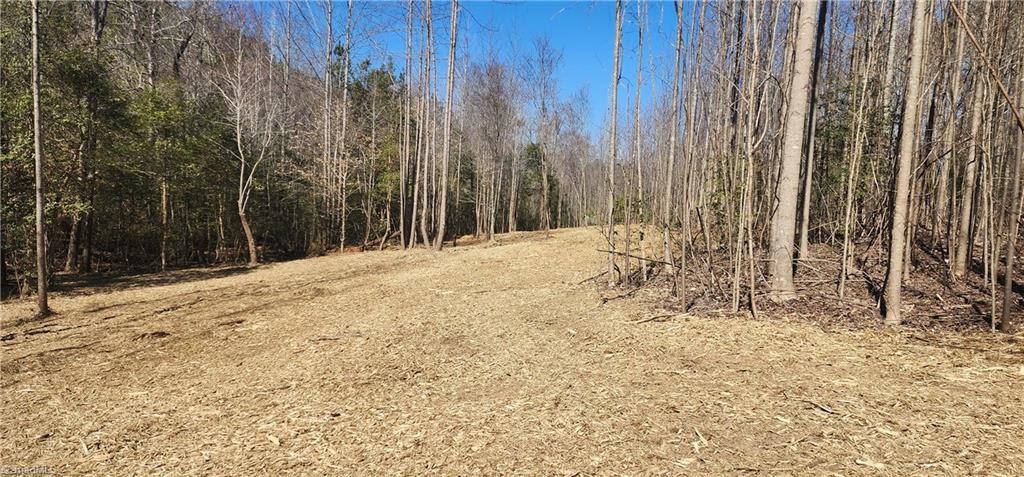 LOT 6 St Andrews Church Road, Sanford, North Carolina image 9