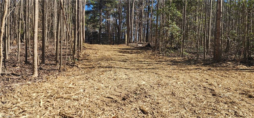 LOT 6 St Andrews Church Road, Sanford, North Carolina image 7