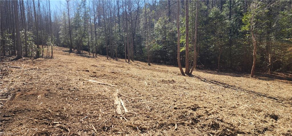 LOT 6 St Andrews Church Road, Sanford, North Carolina image 6