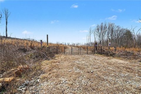 Vacant Land For Sale - Holder Inman Road<br/> Randleman, NC 27317