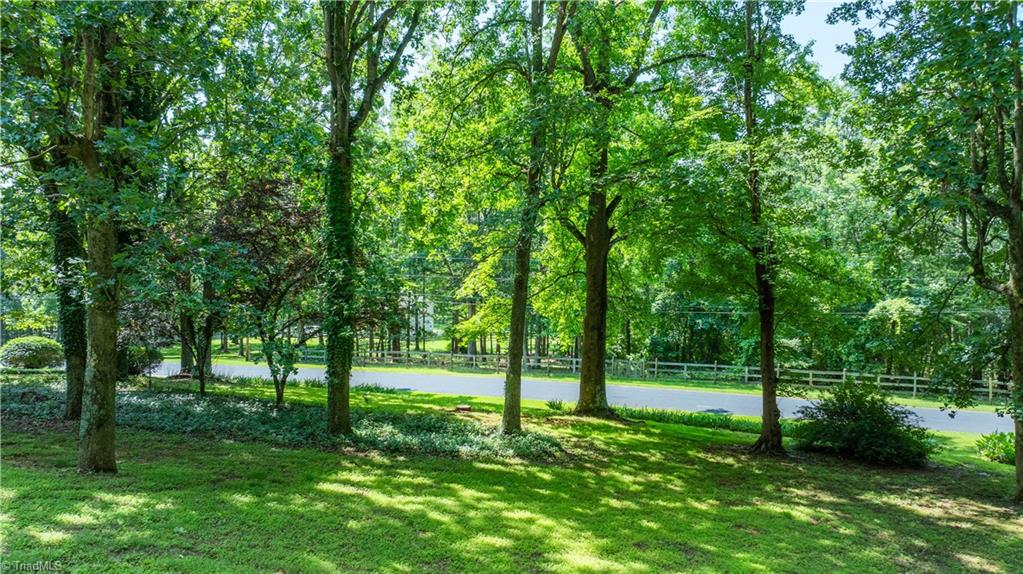 2165 Forest Haven Drive, Climax, North Carolina image 27