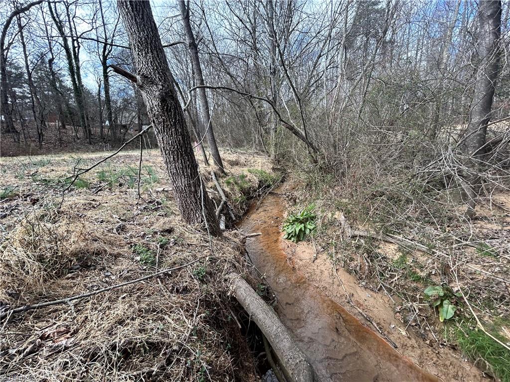 Aspen Street, Yadkinville, North Carolina image 2