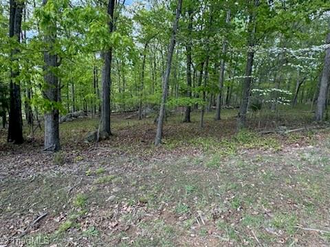 266 Rocky Cove Lane, Denton, North Carolina image 1
