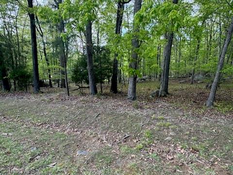 266 Rocky Cove Lane, Denton, North Carolina image 2