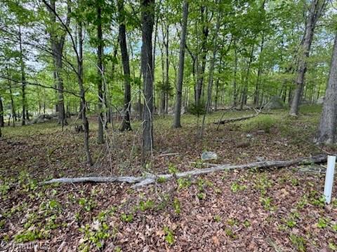 266 Rocky Cove Lane, Denton, North Carolina image 3