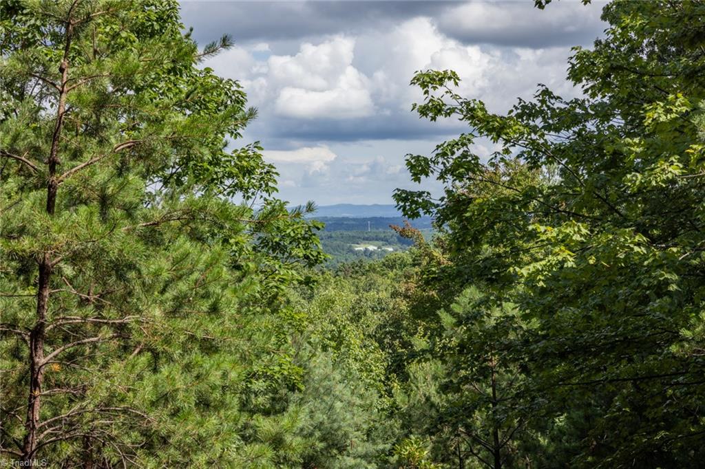 Lot 158 Chestnut Mountain Farms Parkway, McGrady, North Carolina image 9