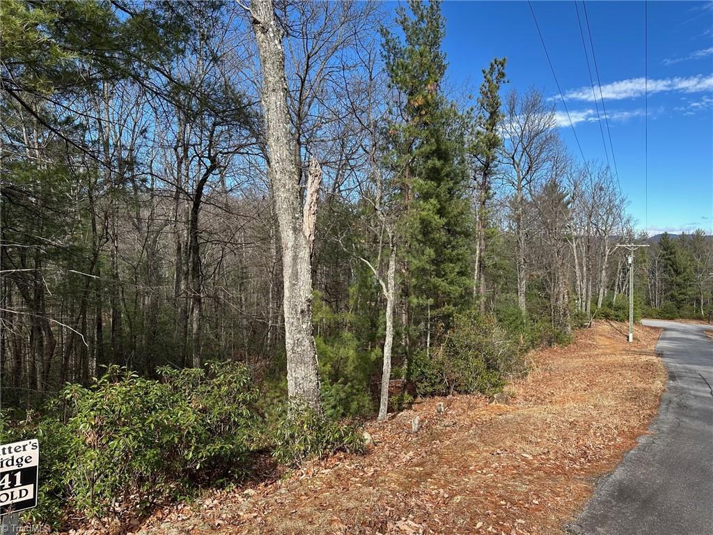 Lot 41 Sutters Ridge Road, McGrady, North Carolina image 3