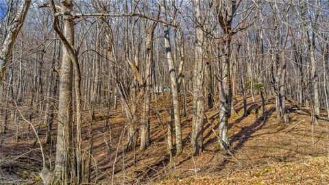 Vacant Land For Sale - TBD 23 Locust Circle<br/> West Jefferson, NC 28694