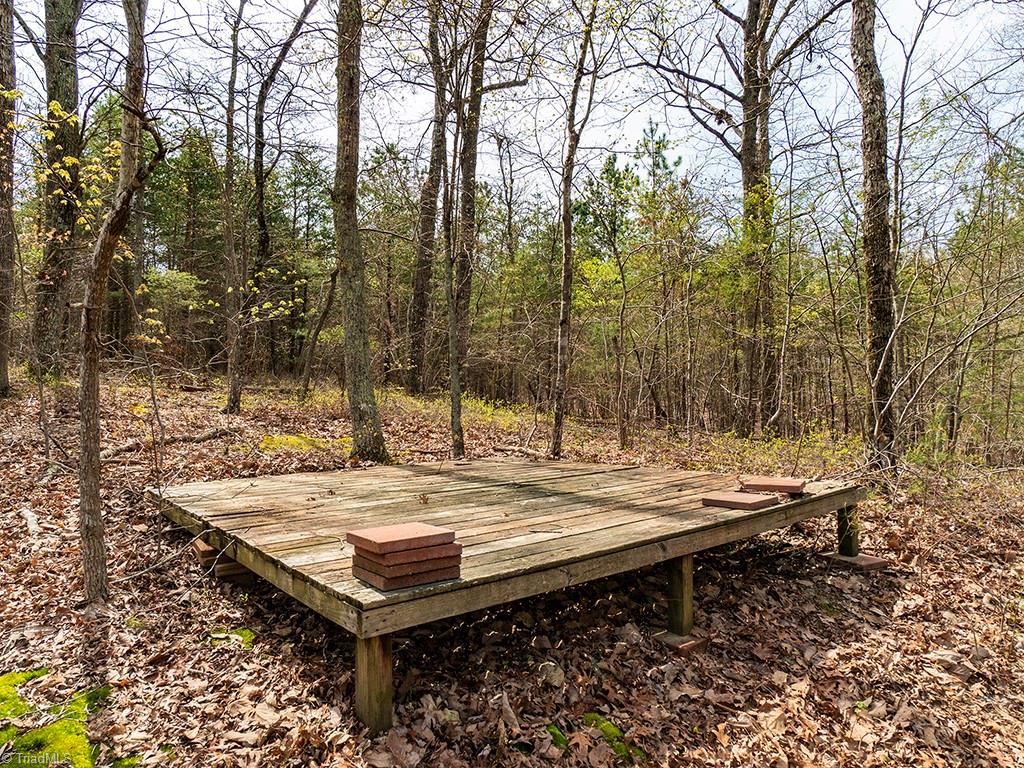 6655 Tree Lined Court, Snow Camp, North Carolina image 37