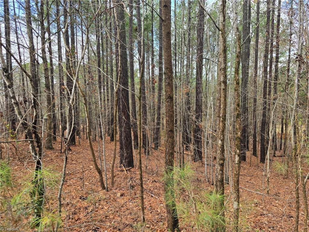 225 Cove Wood Drive, Denton, NC, 27239