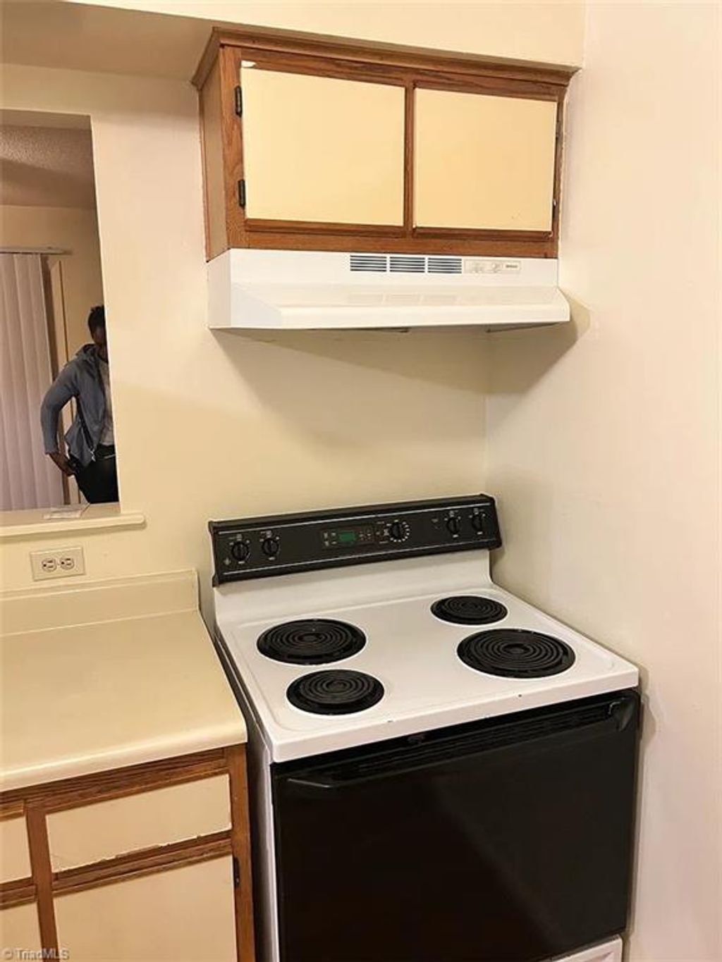 Photo of 517 Mystic Drive, Greensboro, NC 27406 (MLS # 1212827)