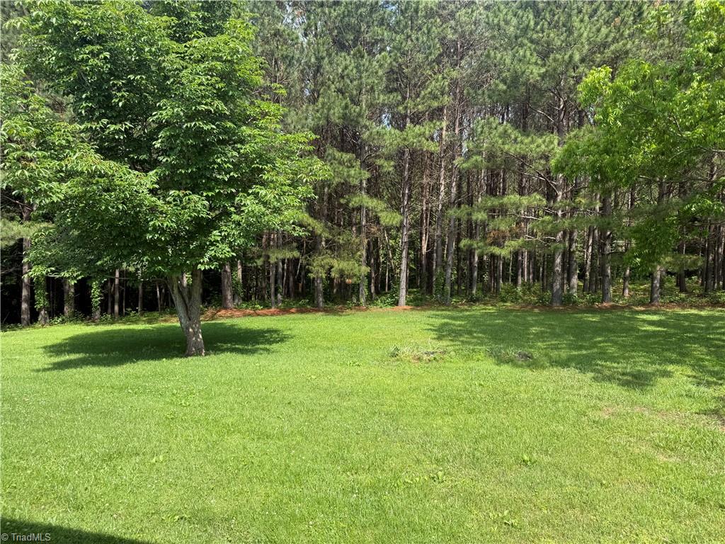1024 Lone Hickory Road, Yadkinville, North Carolina image 4