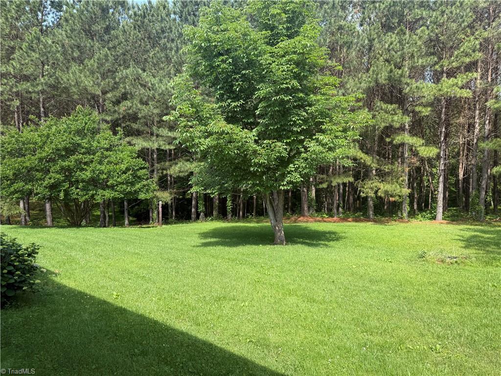 1024 Lone Hickory Road, Yadkinville, North Carolina image 2