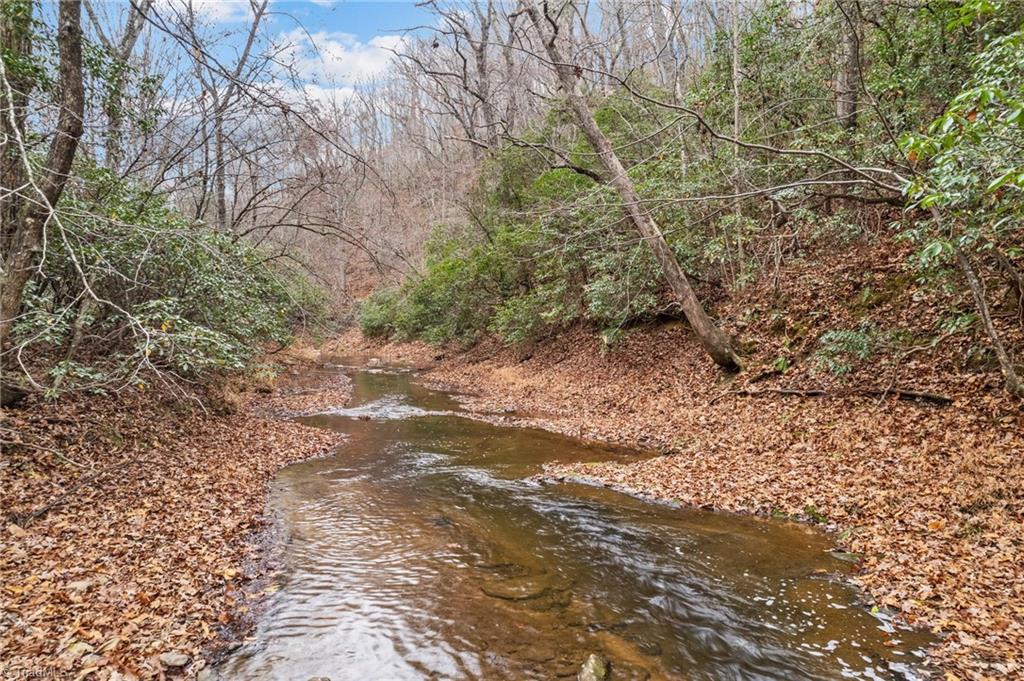 Simmons Road, Westfield, North Carolina image 1