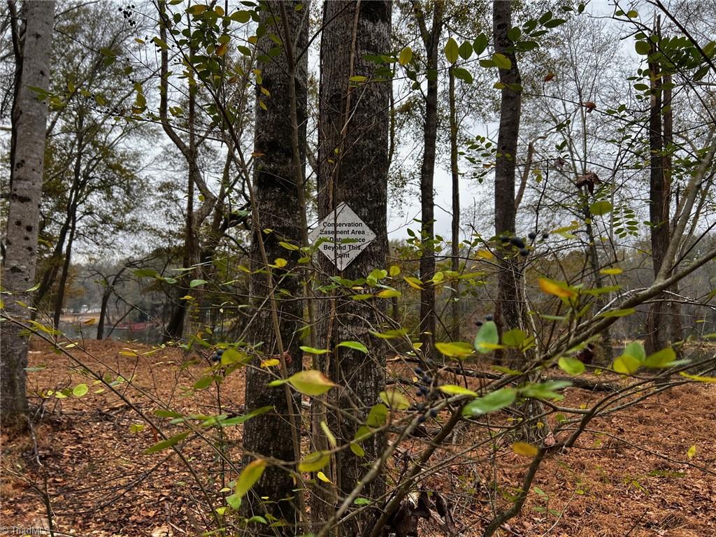 Lot 155 Lookout Dam Road, Statesville, North Carolina image 4