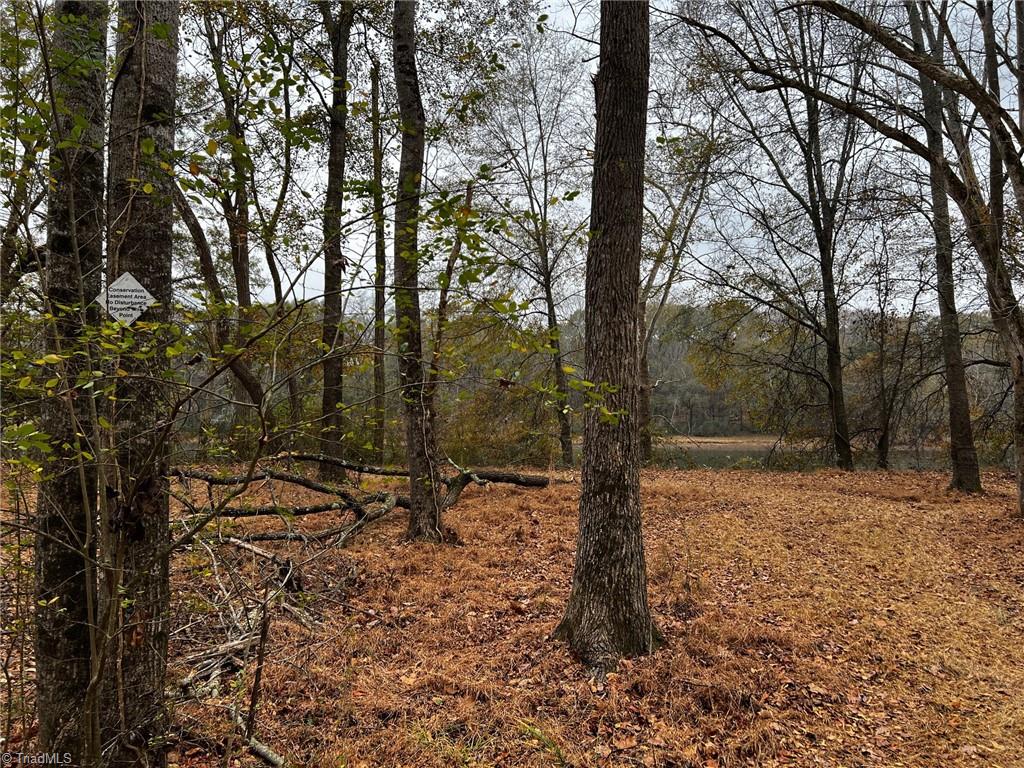 Lot 155 Lookout Dam Road, Statesville, North Carolina image 5