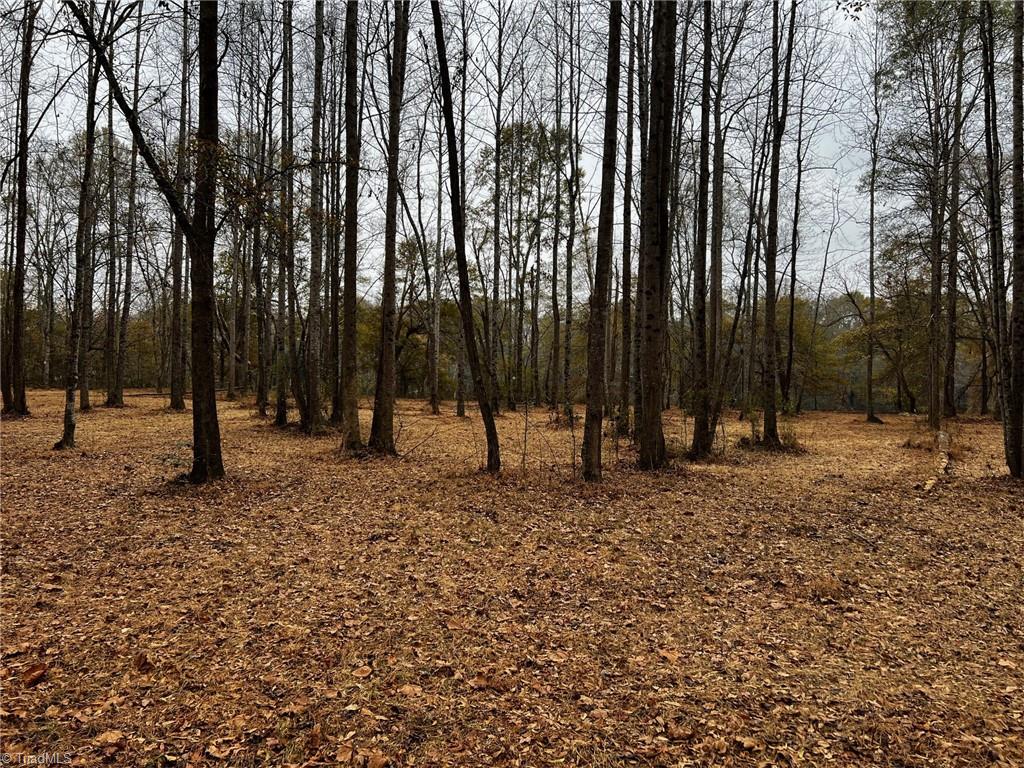 Lot 155 Lookout Dam Road, Statesville, North Carolina image 9