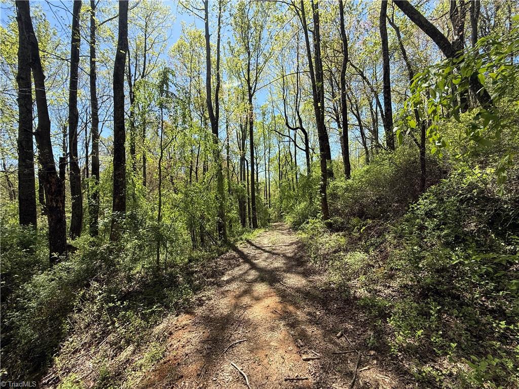 210 Towe Lane, Cana, Virginia image 15