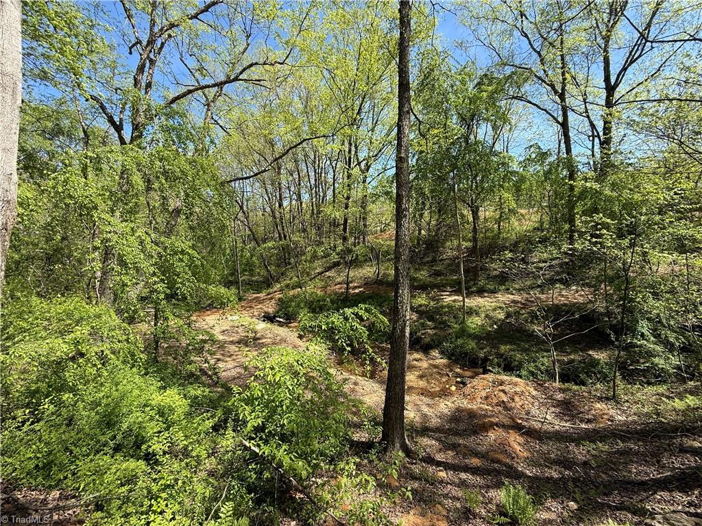 210 Towe Lane, Cana, Virginia image 16