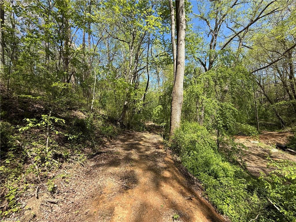 210 Towe Lane, Cana, Virginia image 14
