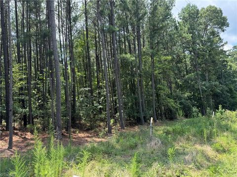 Vacant Land For Sale - 00 Epps Clark Road<br/> Siler City, NC 27344