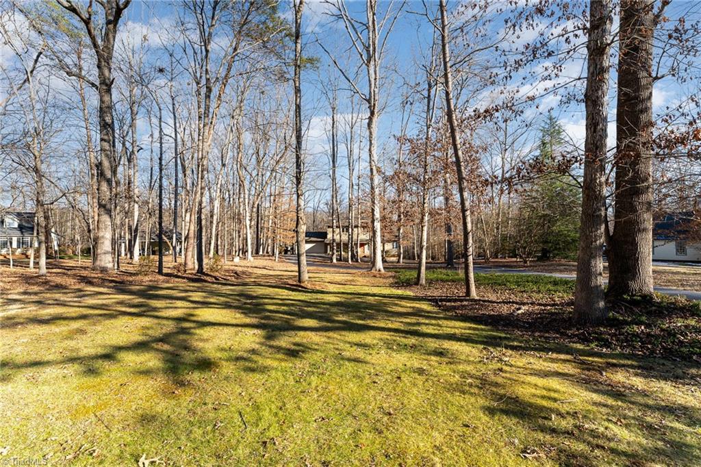 183 Deertract Loop, Stoneville, North Carolina image 31