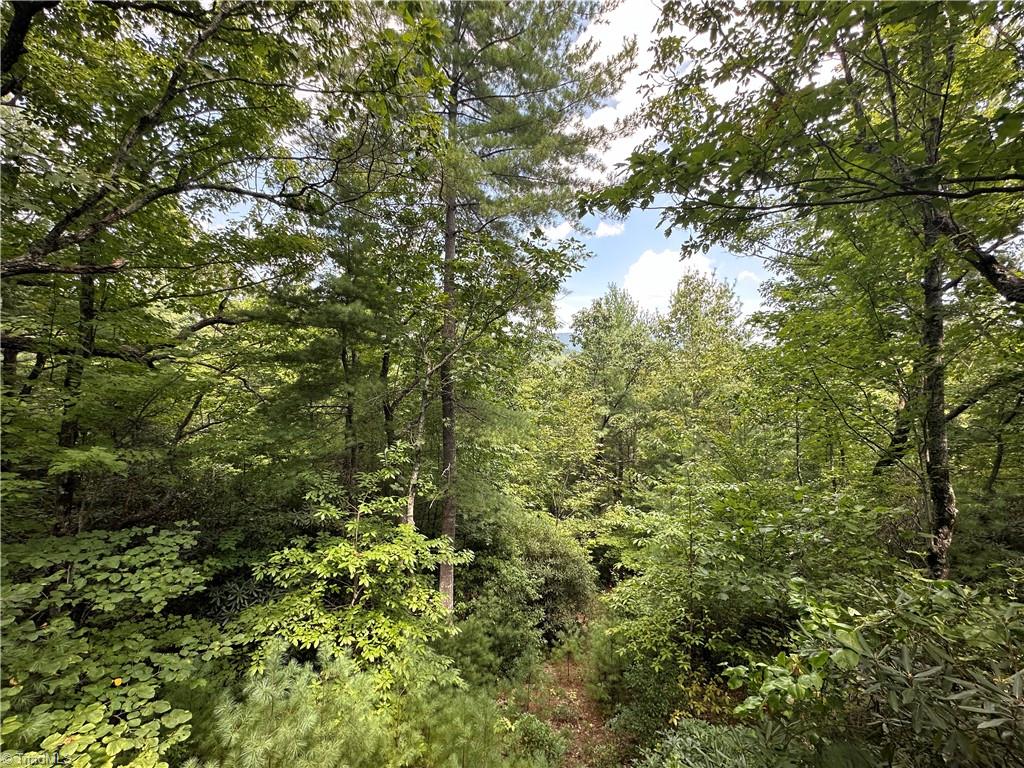 Lot 31E Cascade Run, Purlear, North Carolina image 9