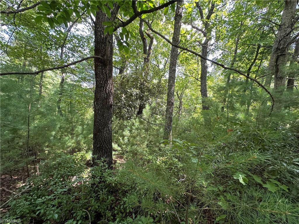 Lot 31E Cascade Run, Purlear, North Carolina image 6