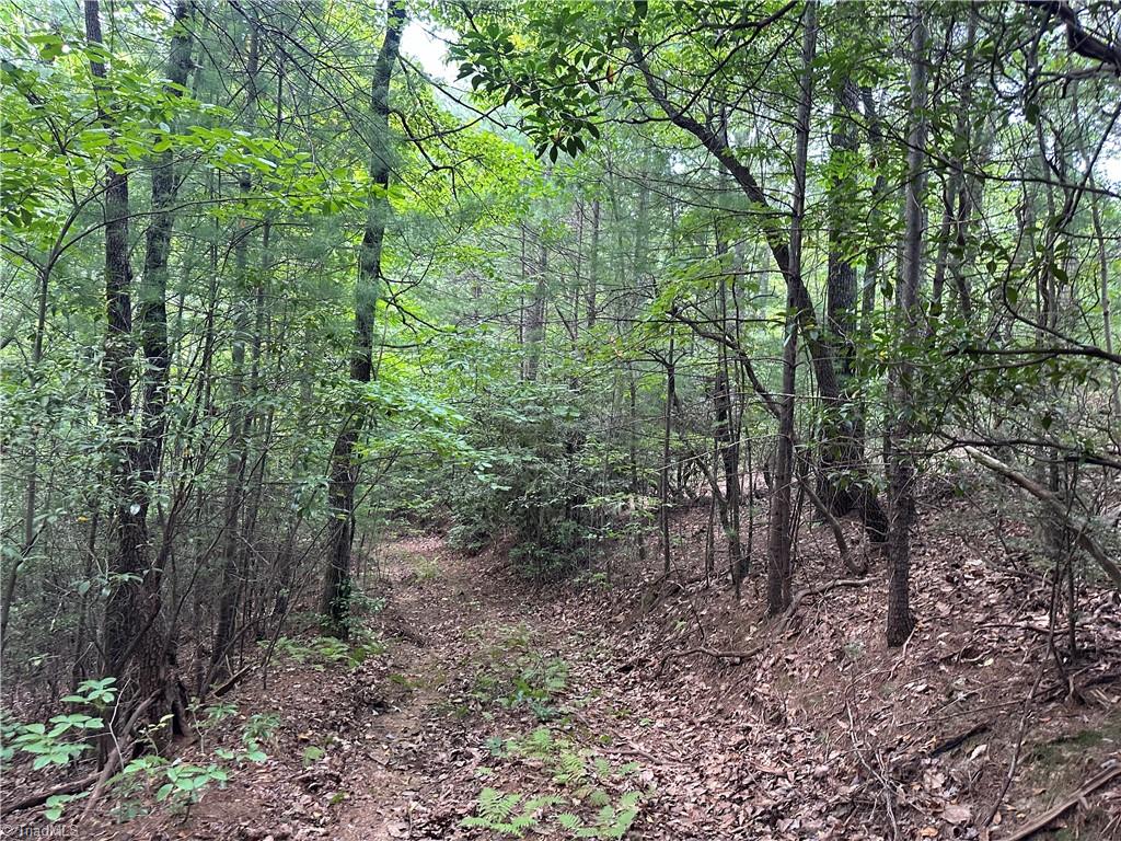 Lot 31E Cascade Run, Purlear, North Carolina image 12