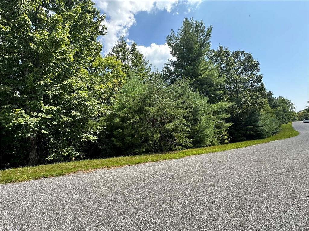 Lot 31E Cascade Run, Purlear, North Carolina image 4