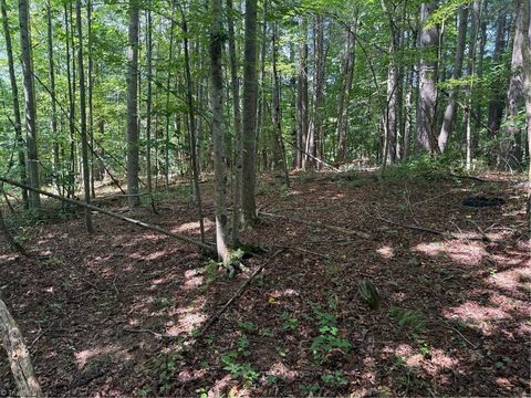 Vacant Land For Sale - LOT 22 Austin Traphill Road<br/> Traphill, NC 28685