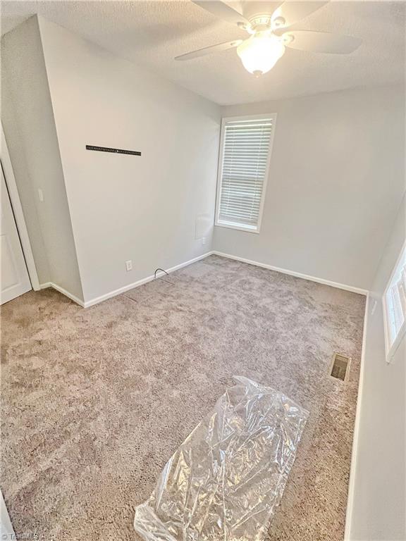 728 Osborne Street, Eden, North Carolina image 30
