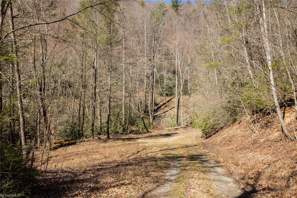 TBD Old Nc Highway 16, Millers Creek, North Carolina image 21